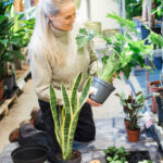 Gulvmatte til ompotting av planter